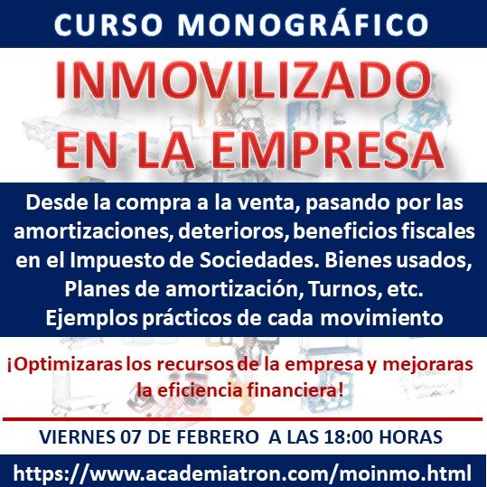 Curso Monográfico Inmovilizado en la Empresa